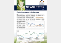 SACOTA Newsletter - November 2025