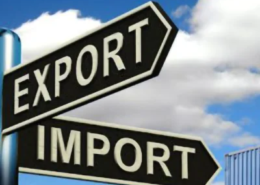 Record crops and growing carry-over stocks: Why then are SA exports slow?