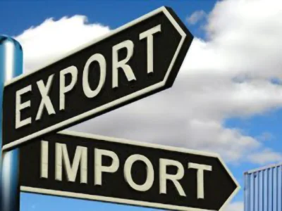 Record crops and growing carry-over stocks: Why then are SA exports slow?