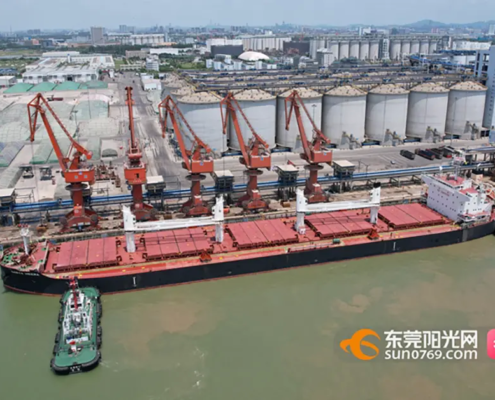 54,43 million tons! The country's first South African feed corn arrives in the Mayong port area of Dongguan Port