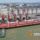 54,43 million tons! The country's first South African feed corn arrives in the Mayong port area of Dongguan Port