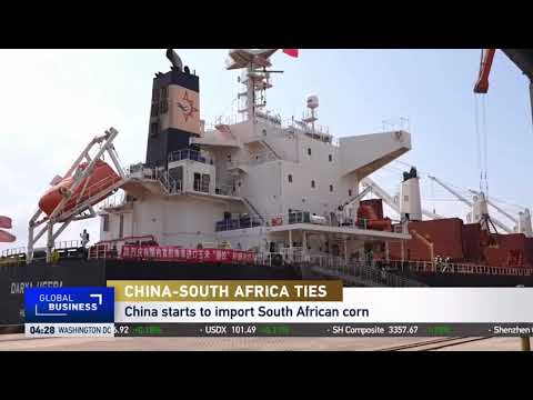 SA yellow maize exports to China continue to draw attention